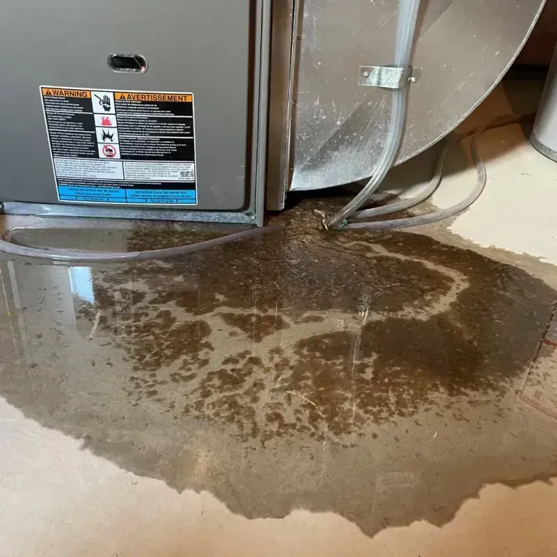 Appliance Leak Cleanup in Cade, LA